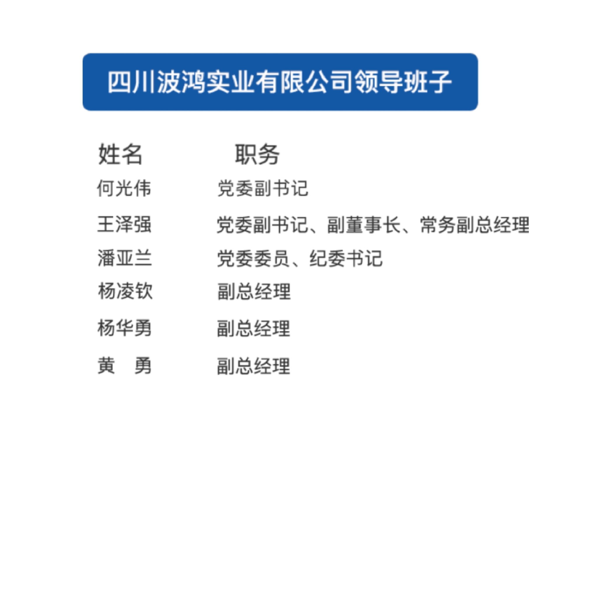 领导班子结构盖板.jpg